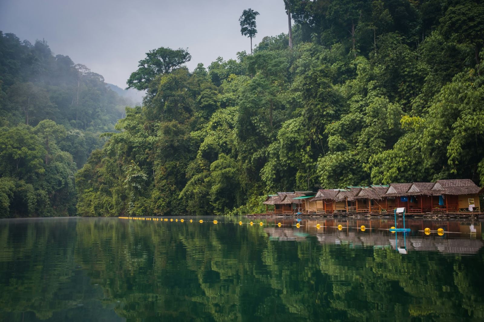 Khao Sok National Park, Thailand in May (Photos by Unsplash)